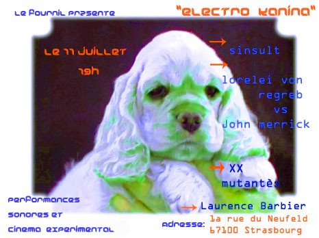 elektro kanina.jpg